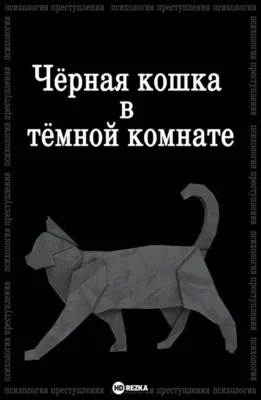 Черная кошка в темной комнате (2021)