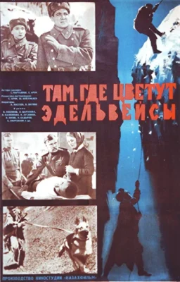 Там, где цветут эдельвейсы (1966)