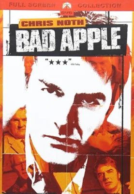 Агент под прикрытием (2004)