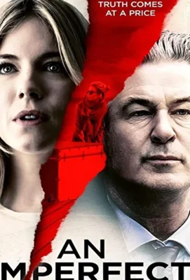 Неидеальное убийство (2017)